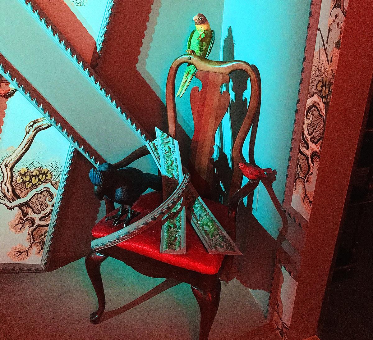 BROAD-BILLED PARROT CAROLINA PARAKEET KAKAWAHI