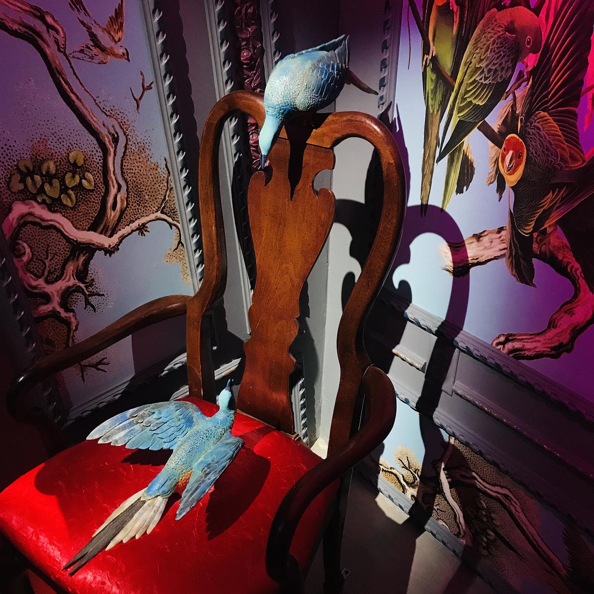 PERCHED PASSENGER PIGEONS