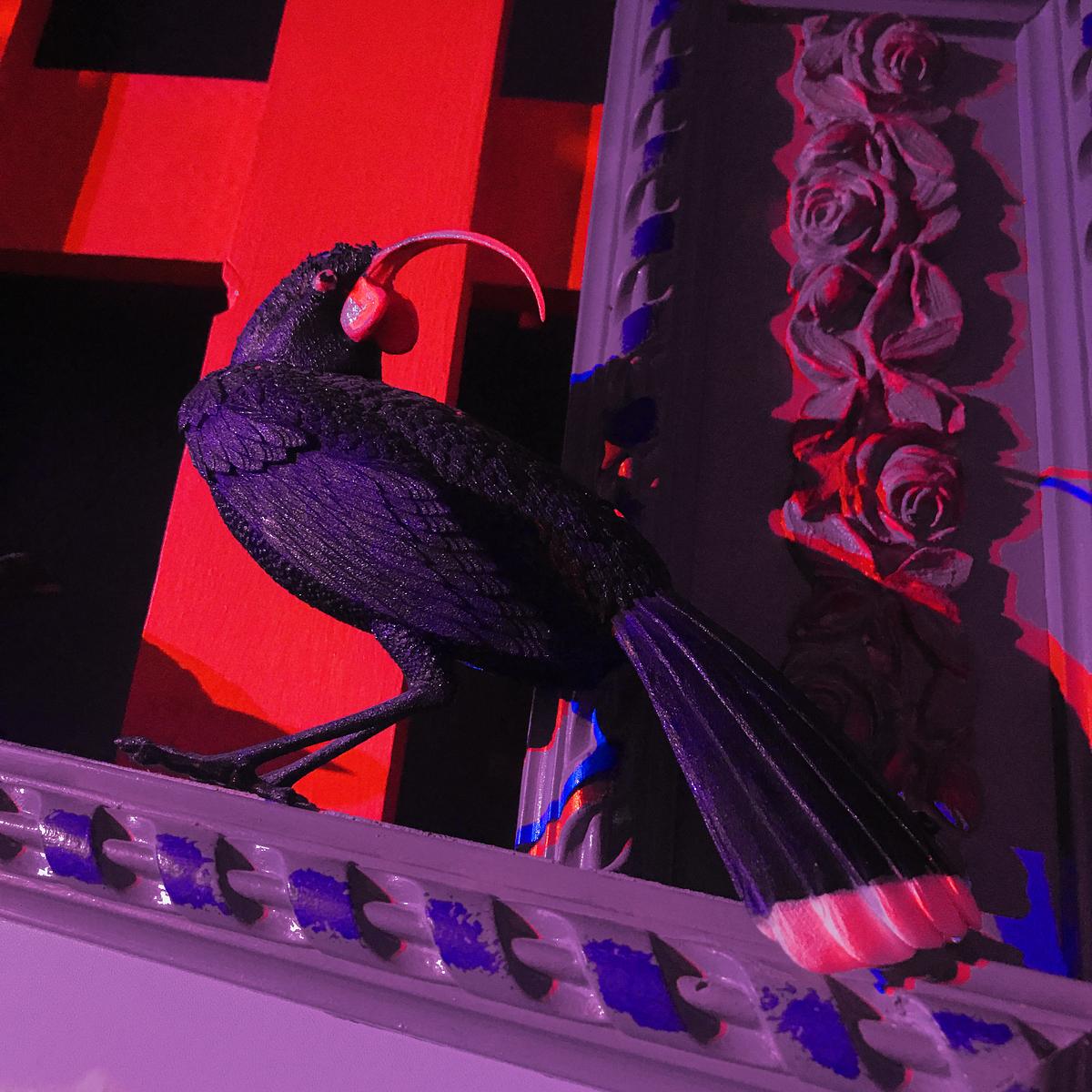 HUIA BIRD HUIA BIRD