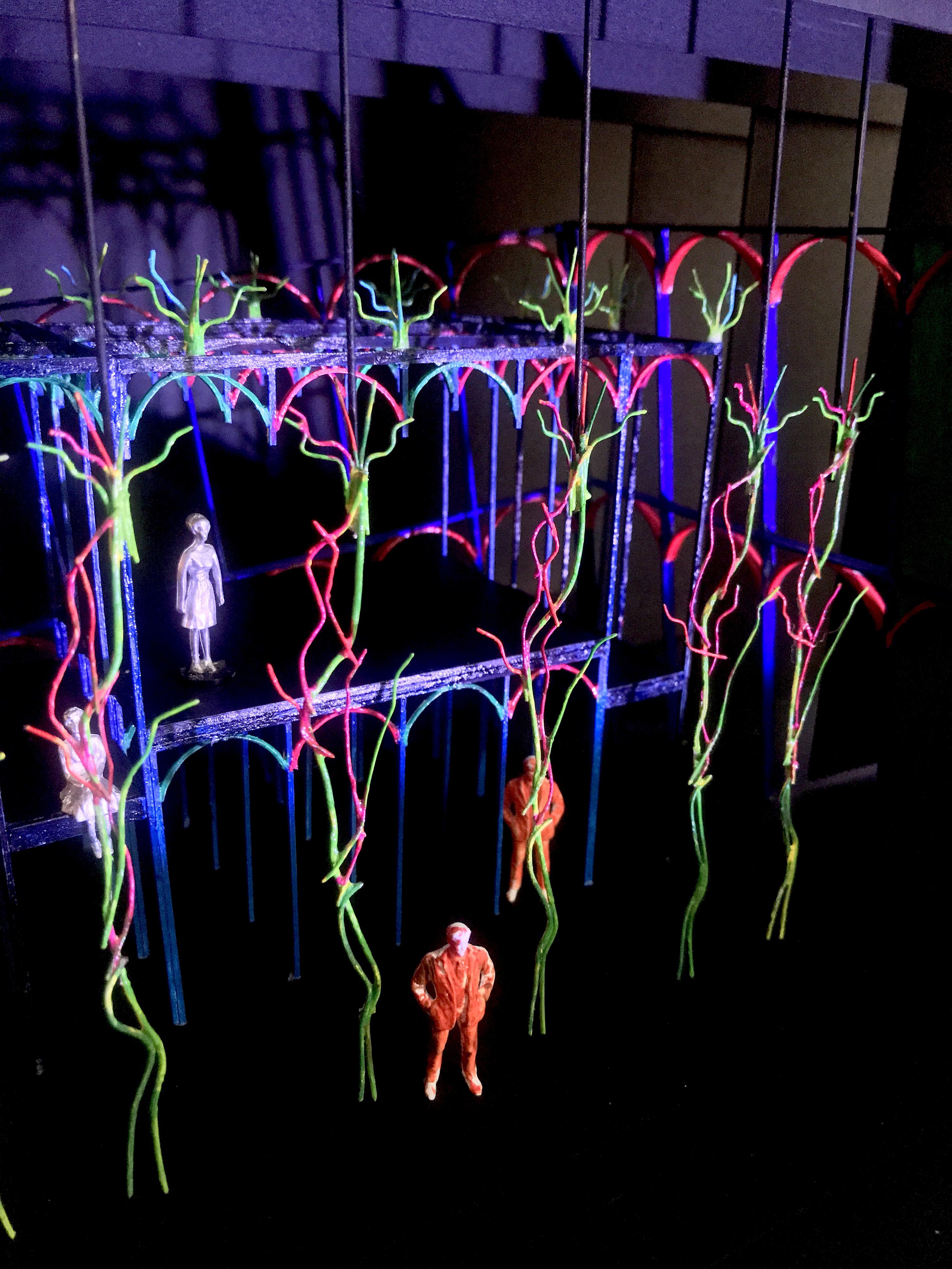 SET MODEL